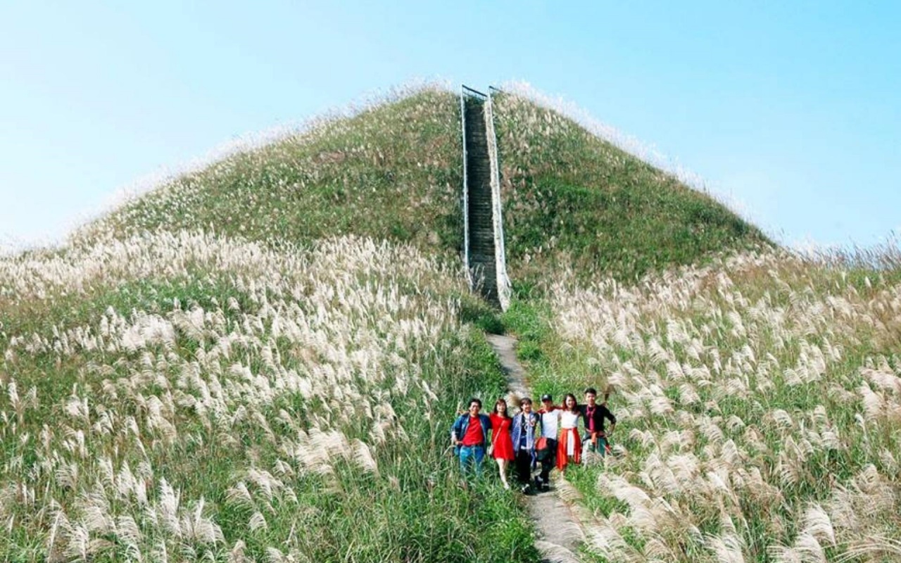 Đồi cỏ Lau Bình Liêu 1