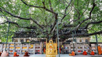 Tour Ấn Độ - Delhi - Nepal 14 ngày - BỒ ĐỀ ĐẠO TRÀNG