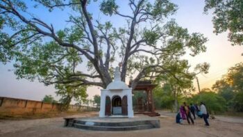 Tour Ấn Độ - Delhi - Nepal 14 ngày - SANKASYA