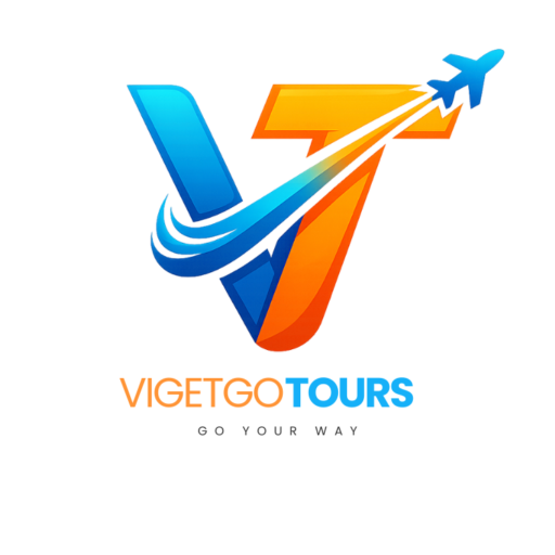 cropped LOGO VIGETGO 1