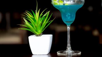 Mường Thanh Luxury Ninh Bình - Ngô Đồng Bar